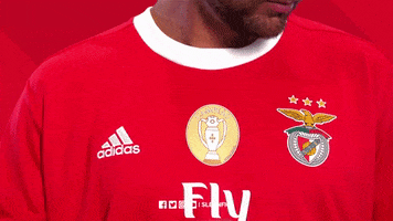 Sl Benfica Preseason GIF by Sport Lisboa e Benfica