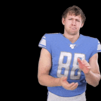 Detroit Lions GIF by NFL