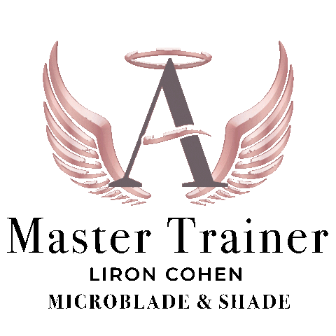 lironcohen Sticker
