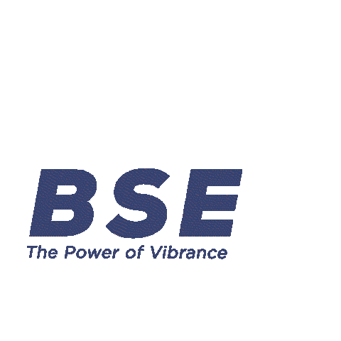 BSE India Sticker