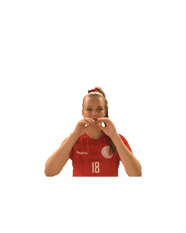 UHC Visper Lions Sticker