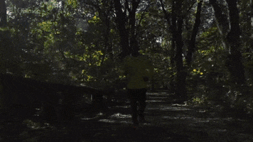 Marathon Winner GIF