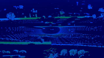 Mexico GIF