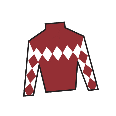 2023 Kentucky Oaks Silks GIFs on GIPHY - Be Animated