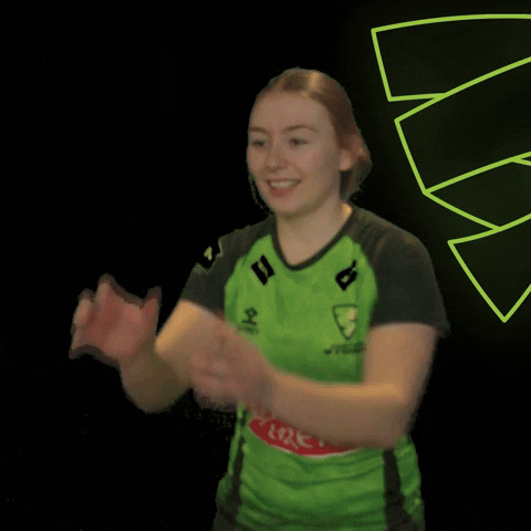 Celebrate Storm Troopers GIF by Somerset County Cricket Club