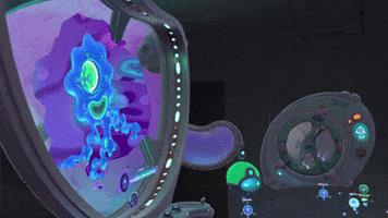 Animated GIF