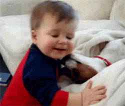 dog baby GIF
