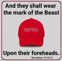 Trump GIF