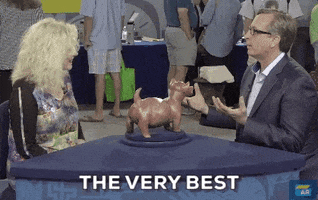 good boy dogs GIF by ANTIQUES ROADSHOW | PBS