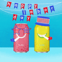 Labor Day Bubly Water GIF by bubly