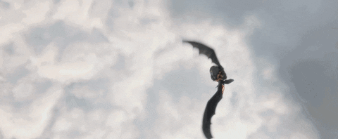 Image result for toothless gif