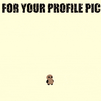 Animated-profile-picture GIFs - Get the best GIF on GIPHY
