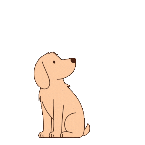 Excuse Me What Sticker