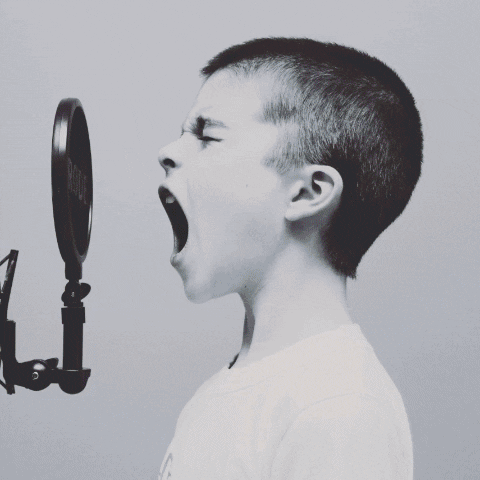 News Enewsletter GIF by North Sydney Community Centre