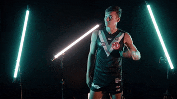 Crowd Cant Hear You GIF by Port Adelaide FC