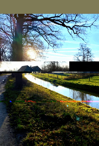 Baby Spa Twente GIF