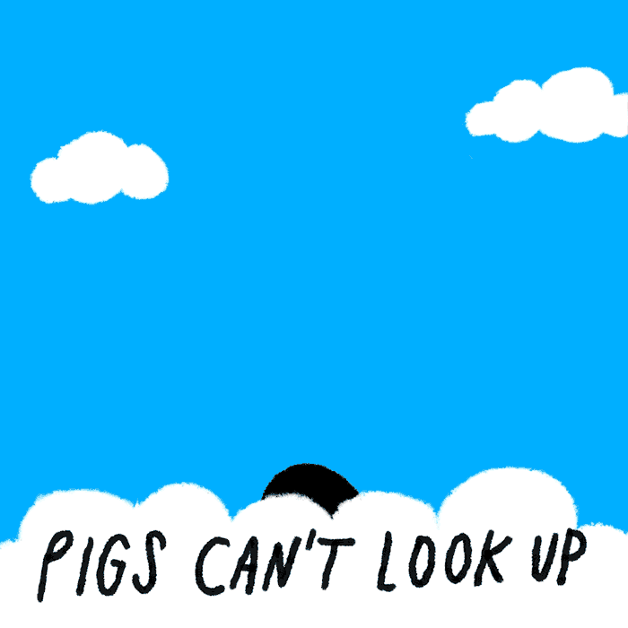 flying pig lol GIF by Learn Something Every Day