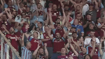 Celebrate Premier League GIF by Aston Villa FC