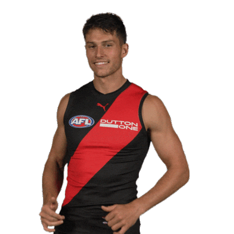 Dons Bombers Sticker by Essendon FC