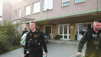PolicieCZ police swat tactical policie GIF