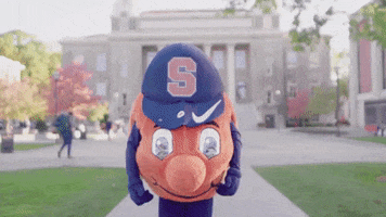 Excited College GIF by Syracuse University