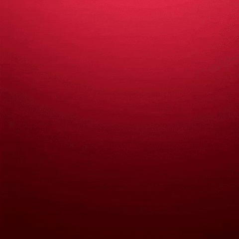 Christmas GIF by New 11