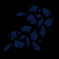 4k-wallpaper GIFs - Get the best GIF on GIPHY 4k-wallpaper GIFs - Get the best GIF on GIPHY