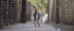Walking Sony GIF by Peter Rabbit Movie