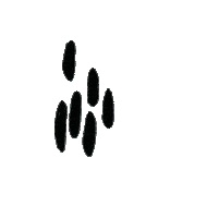 Sticker by PhotoPressUK