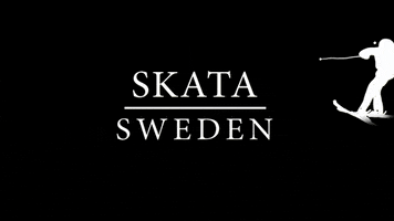 Skata Sweden GIF