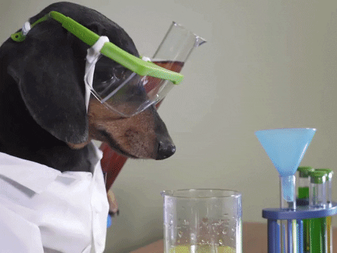 50+ Hilarious Jokes About Chemistry, Chemists, & More! 1 Crusoe GIF - Find & Share on GIPHY