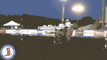 200.gif
