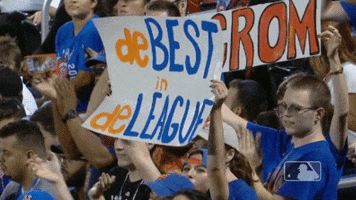 Ny Mets Sport GIF by New York Mets