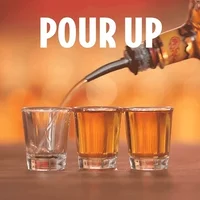 bottoms up alcohol GIF by Fireball Whisky