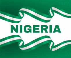 Miss Cosmo Nigeria GIF