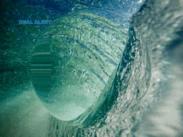 200.gif?cid=fc005b08761d2577e01c8325c0951e82e1253ab508620d46&rid=200.gif&ct=g