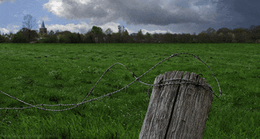 barbed wire landscape GIF by Head Like an Orange