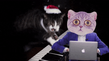 Cat Working GIF by Bokeh Productions