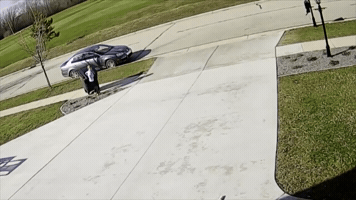 Fail GIF