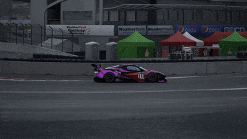 Assetto Corsa Chris GIF by yesguardians
