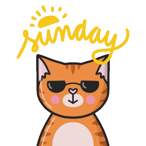 Happy Sunday Fun Sticker by Cat & Raven for iOS & Android | GIPHY Happy Sunday Fun Sticker by Cat & Raven for iOS & Android | GIPHY