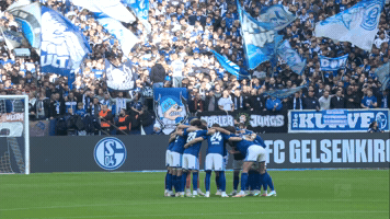 Football Soccer GIF by FC Schalke 04