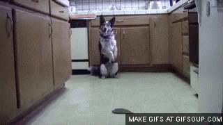 han solo never tell me the odds