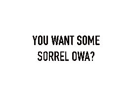 Christmas Sorrel Sticker