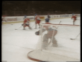 Гашек GIF