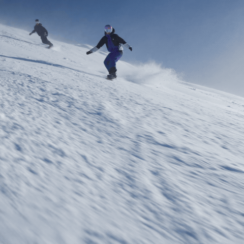 GIF by Thredbo