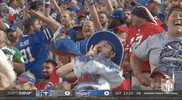 Happy Buffalo Bills GIF by NFL
