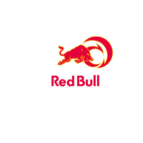 Alinghi Red Bull Racing Sticker