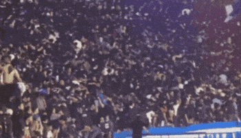 Thom Haye Viking GIF