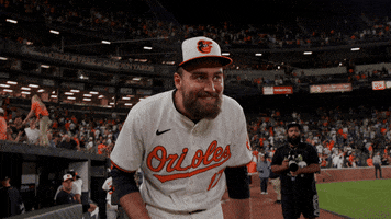 GIF by Baltimore Orioles